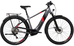 Malaguti Cortina TR 5.1 - 750 Wh - 29 Zoll - Diamant - Aktion