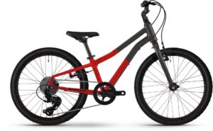 Winora Rage 20 - 20 Zoll - Diamant - 2024