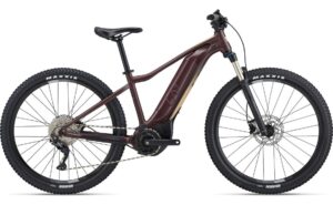 Liv Tempt E+ 1 V1 - 500 Wh - 29 Zoll - Diamant