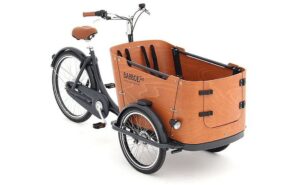 Babboe Go - 26 Zoll - Dreirad - 2024