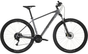 Carver Strict 120 - 29 Zoll - Diamant - 2024