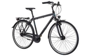 Gudereit Comfort 7.0 - 28 Zoll - Diamant - 2023