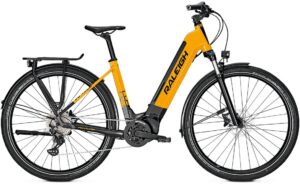 Raleigh Dundee 10 - 625 Wh - 28 Zoll - Tiefeinsteiger - Aktion