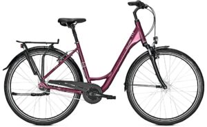 Raleigh Chester 7 - 28 Zoll - Tiefeinsteiger - Aktion