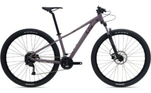 Liv Tempt 3+ - 29 Zoll - Diamant - 2024
