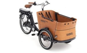 Babboe Curve-E Disc - 500 Wh - 26 Zoll - Dreirad - 2024