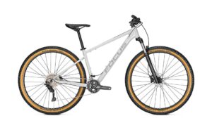 Focus Whistler 3.8 - 29 Zoll - Diamant - Aktion