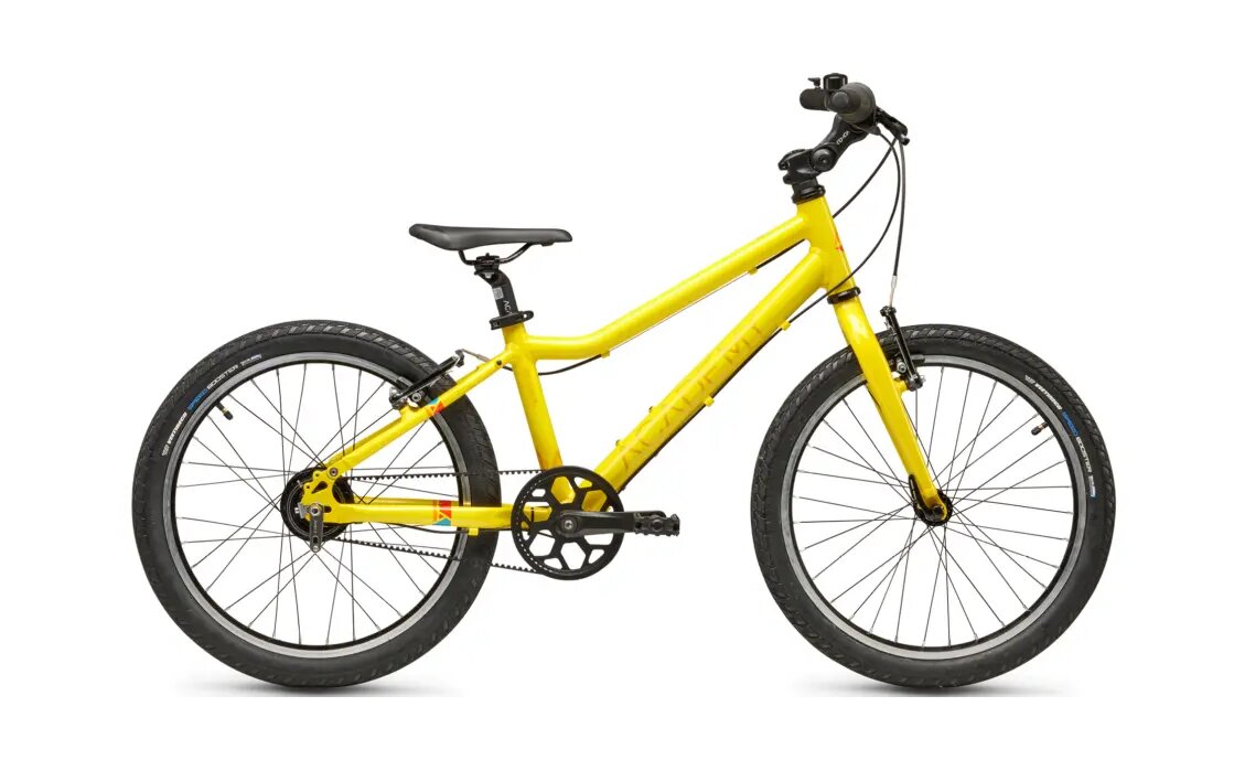 Academy Grade 4 Belt - 20 Zoll - Diamant - 2025