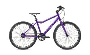 Academy Grade 5 Belt - 24 Zoll - Diamant - 2025