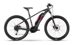 Raymon HardRay E 3.0 - 500 Wh - 29 Zoll - Diamant