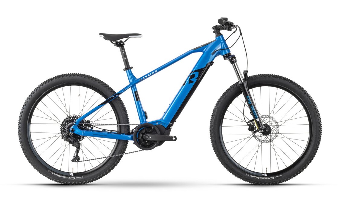 Raymon HardRay E 6.0 - 630 Wh - 29 Zoll - Diamant