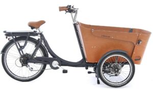 Babboe Carve-E - 450 Wh - 26 Zoll - Dreirad - 2024