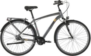 Carver Cityzen 140 LTD RT - 28 Zoll - Diamant - 2024