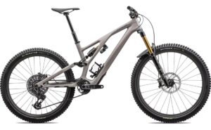 Specialized Stumpjumper Evo Pro - 29 - 27,5 Zoll - Fully - 2024