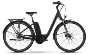 Raymon CityRay E 4.0 SE CB - 500 Wh - 28 Zoll - Tiefeinsteiger - 2024