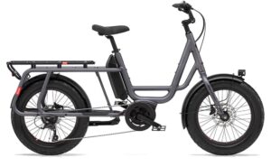 Benno Bikes RemiDemi 9D XL - 545 Wh - 20 Zoll - Longtail - 2024