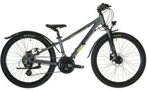 Carver Strict 24 HD Street - 24 Zoll - Diamant - 2024