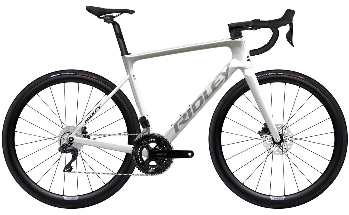 Ridley Falcn - Shimano 105 Di2 - 28 Zoll - Diamant - 2025