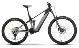 Raymon Tarok - 756 Wh - 29 - 27,5 Zoll - Fully