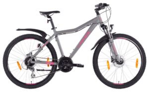 Lakes Flexx 160 - 26 Zoll - Diamant - Aktion
