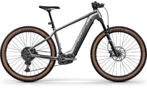Centurion Backfire E R2700i - 750 Wh - 29 Zoll - Diamant - 2023