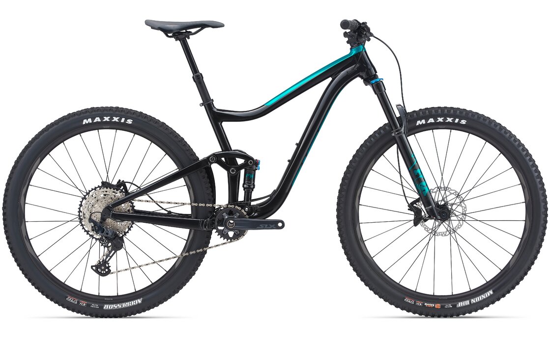 Giant Trance 2 - 29 Zoll - Fully - Aktion