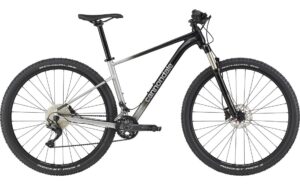 Cannondale Trail SL 4 - 29 Zoll - Diamant - 2024