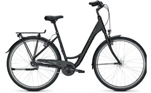 Raleigh Devon 7 - 28 Zoll - Tiefeinsteiger - Aktion