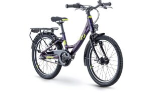 Raymon TwoRay 2.5 Street - 20 Zoll - Tiefeinsteiger - 2024