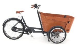 Babboe Carve Mountain - 500 Wh - 26 Zoll - Dreirad - 2024