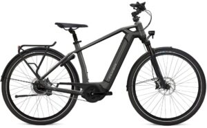 Flyer Gotour6 5.40 - 625 Wh - 28 Zoll - Diamant - Aktion